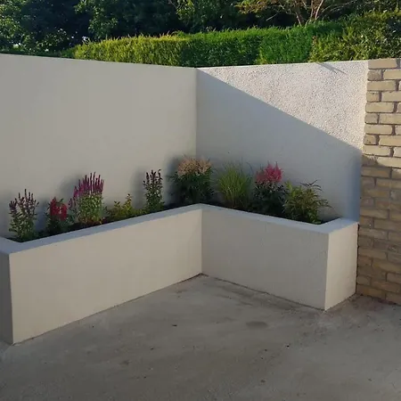 Cherry Blossom Carrickslaney