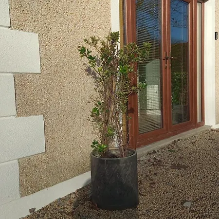 Maison d'hôtes Cherry Blossom