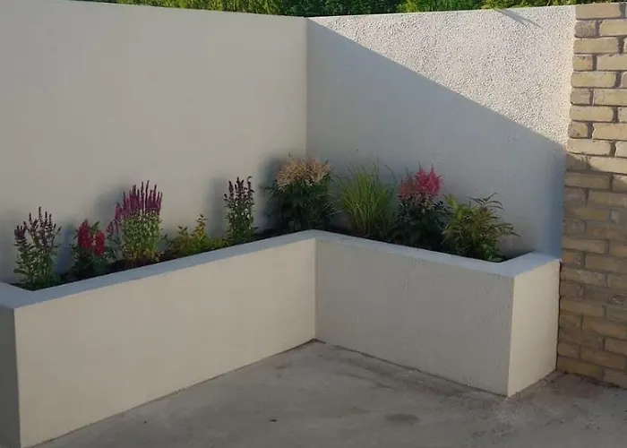 Cherry Blossom Carrickslaney