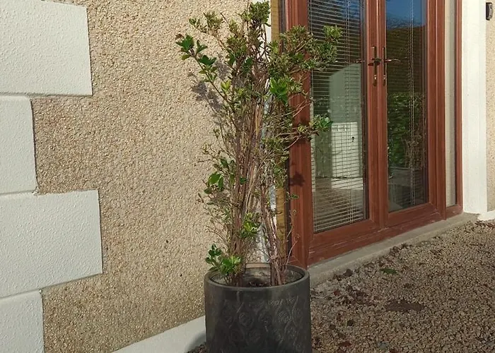 Pensjonat Cherry Blossom